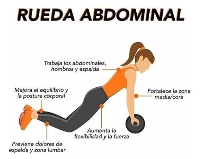 RUEDA DE EJERCICIO ABDOMINAL